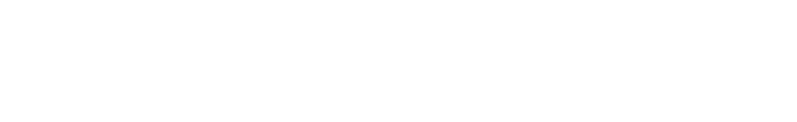 footer-logo